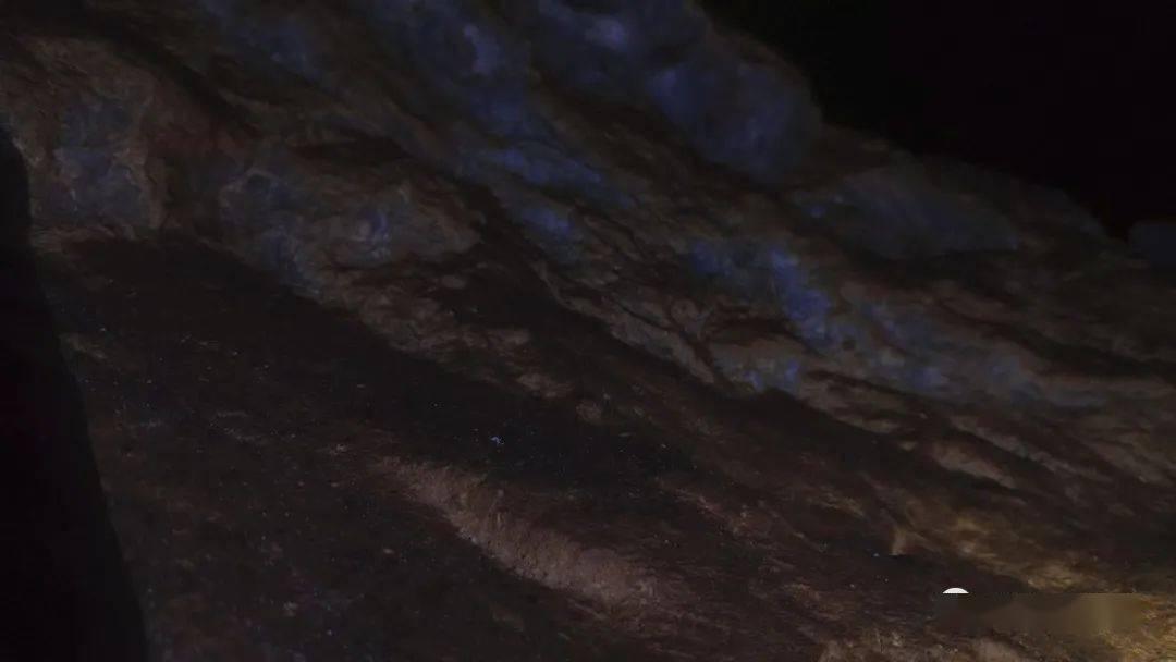沪江开心词场